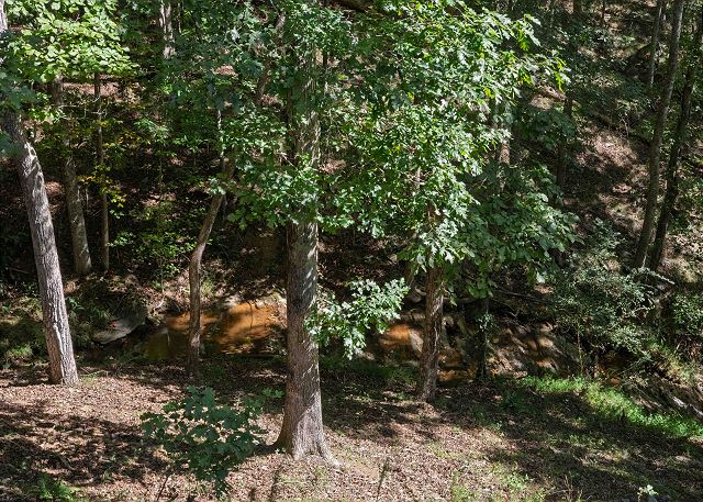 Cozy Creekside Cabin | Photo 39