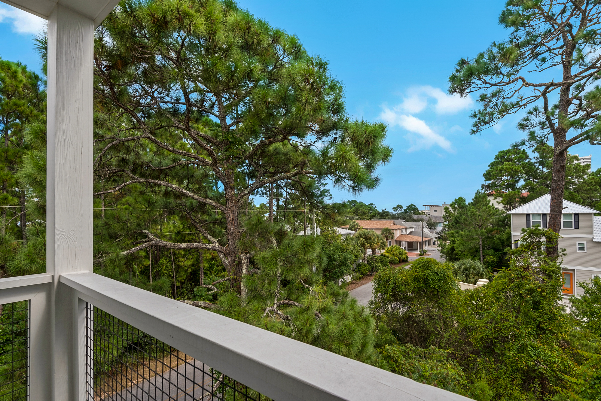 Lifestyles & Dreams 13