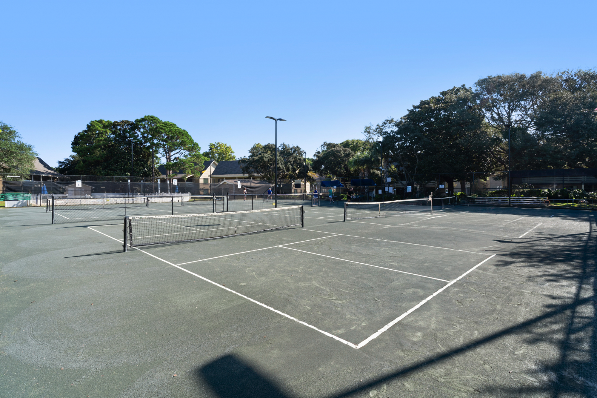 Majestic Sun 1204B 42