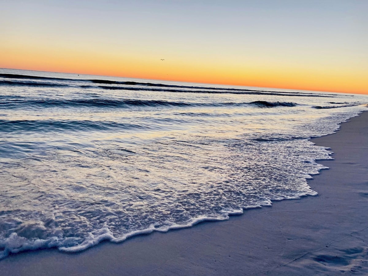 Majestic Sun A413 | Photo 38