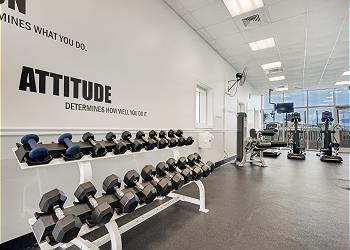 Majestic Sun A413 | Photo 42