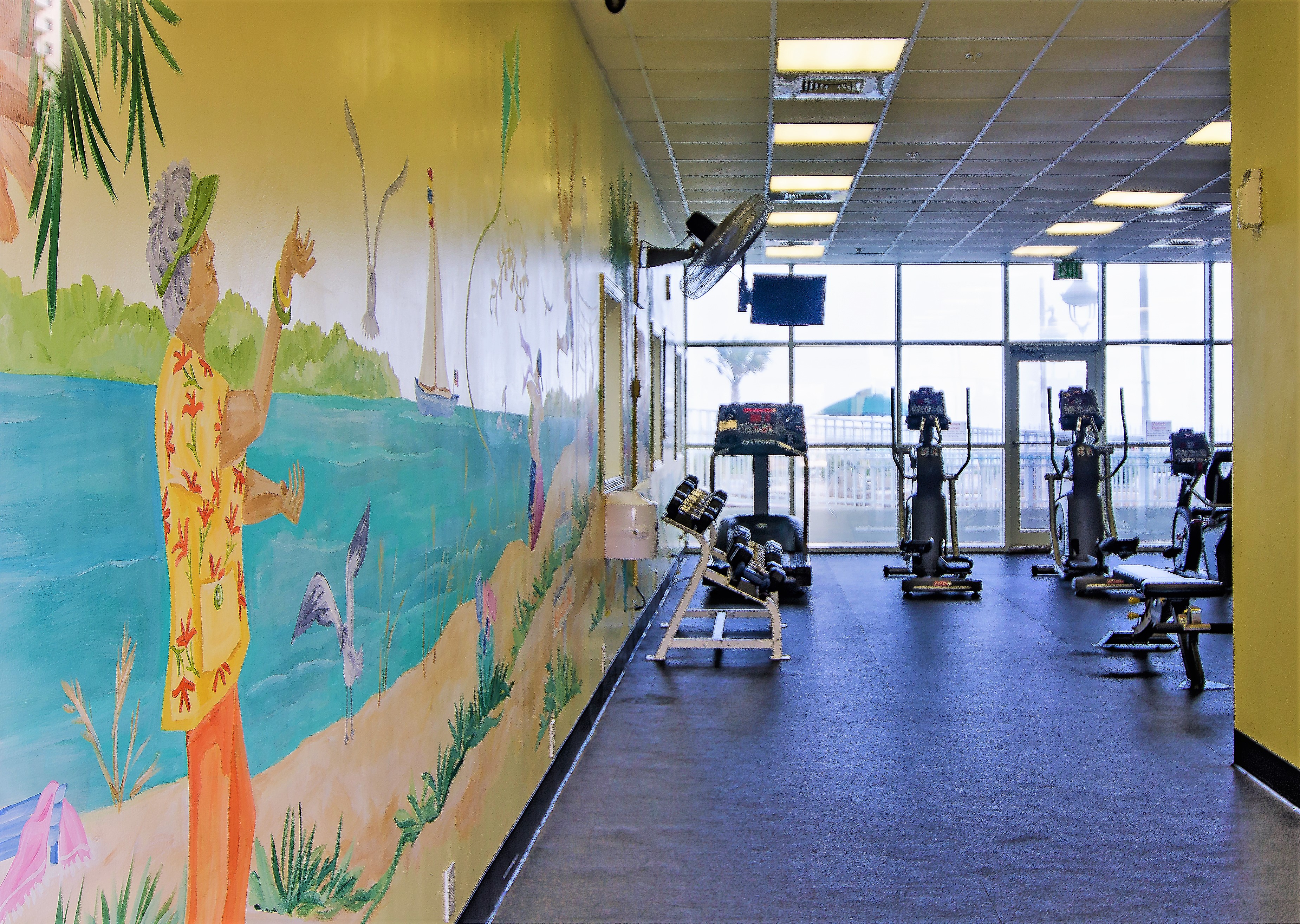 Majestic Sun A511 26