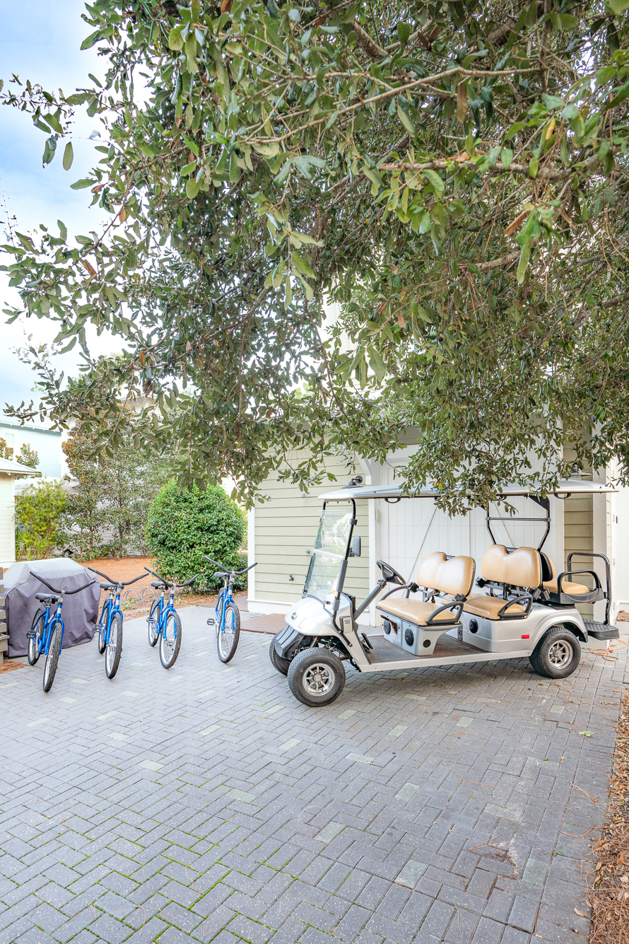 WaterColor - Terrapin Station 4