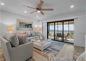 Sanddollar A301