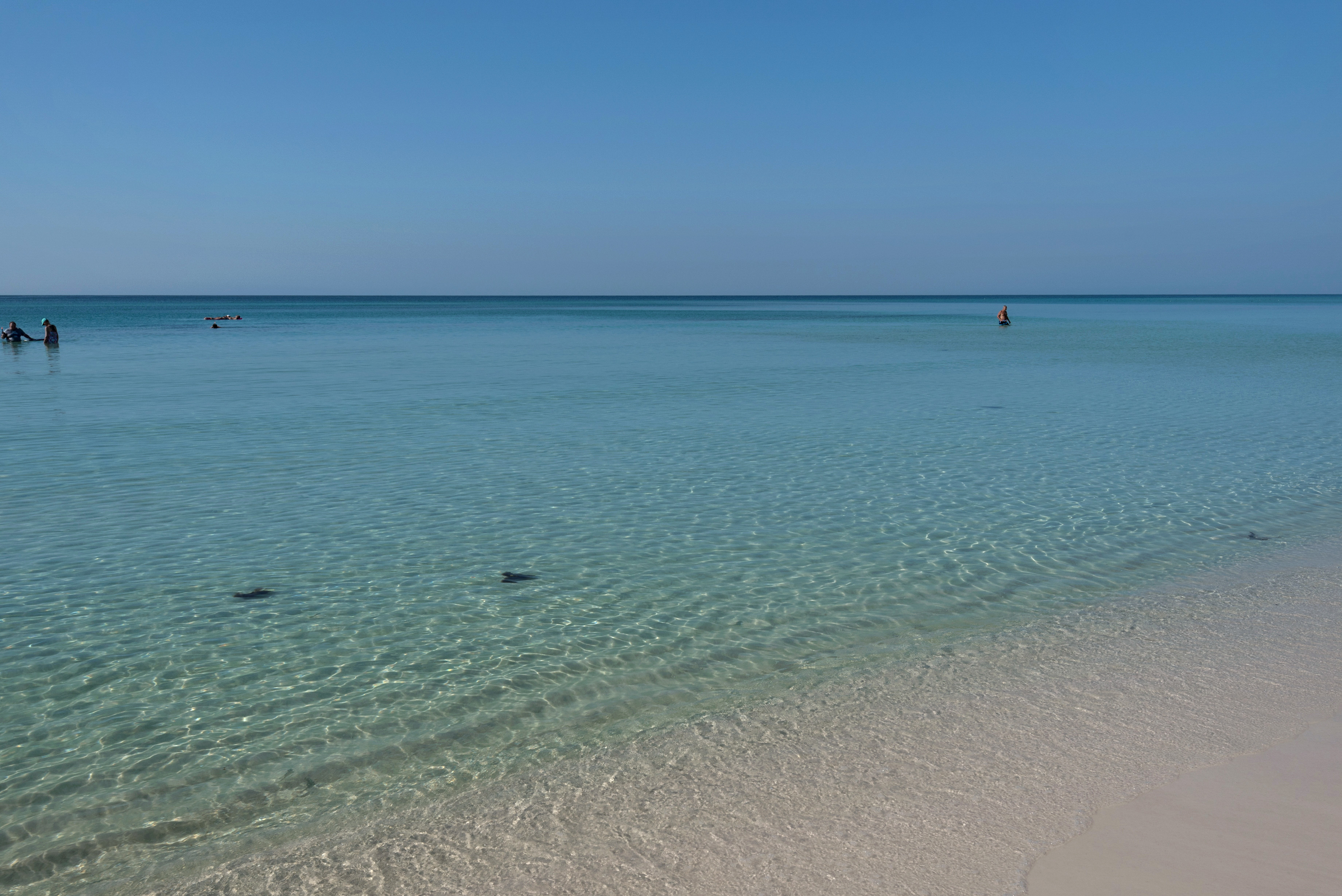 Majestic Sun 607B | Photo 29