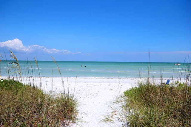 Shell Island Beach Club 6D