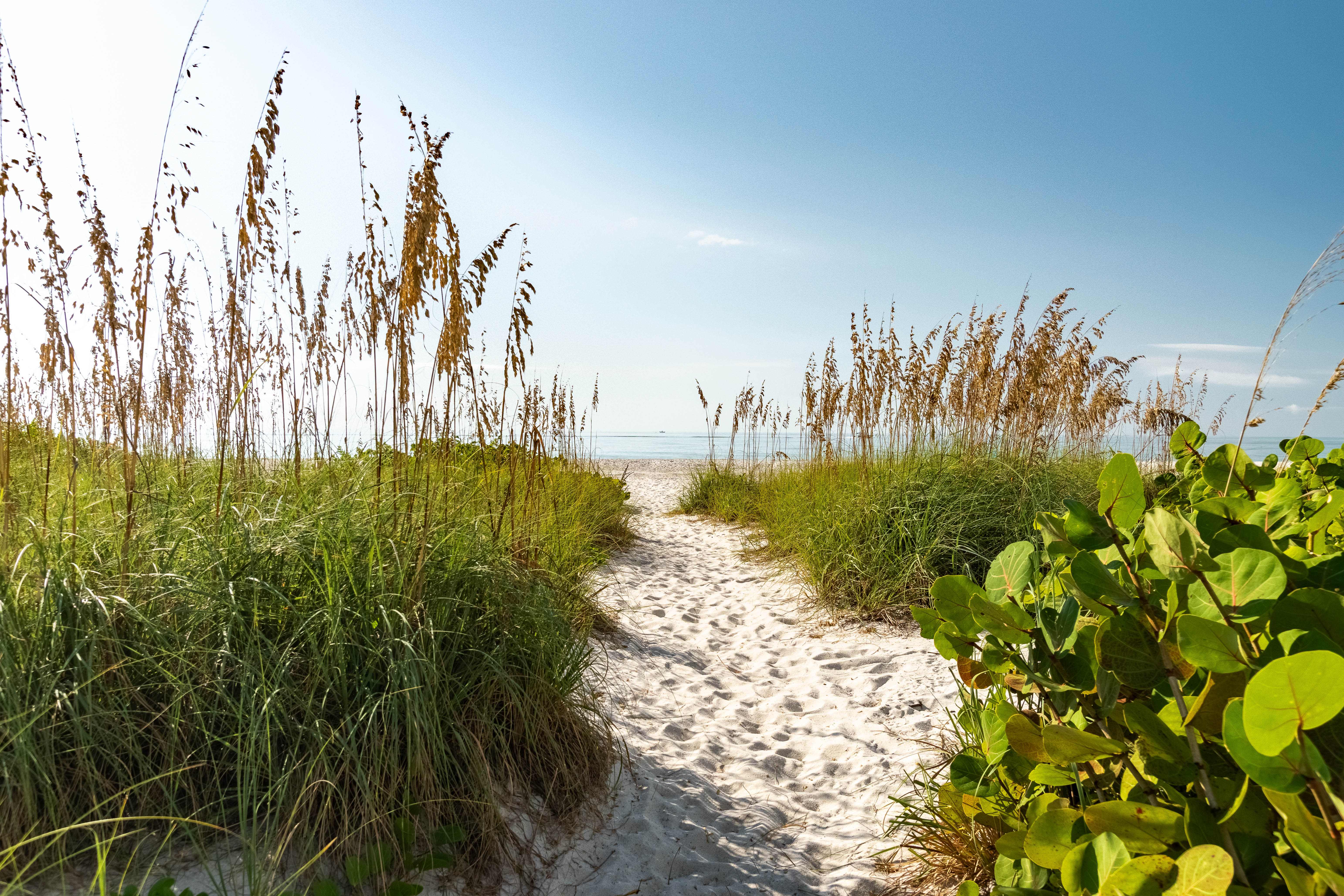 Loggerhead Cay 172 | Photo 44