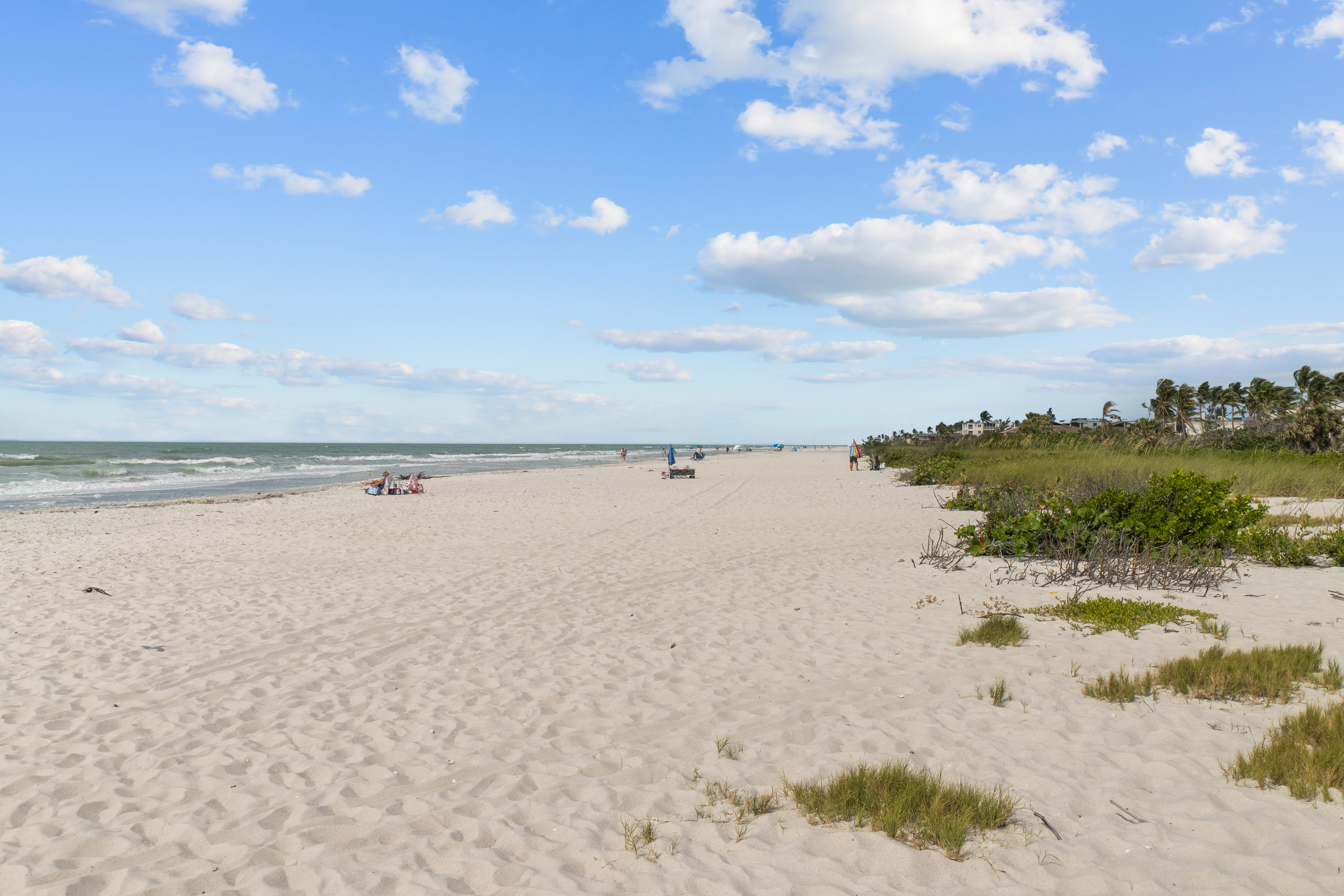 Loggerhead Cay 303 39