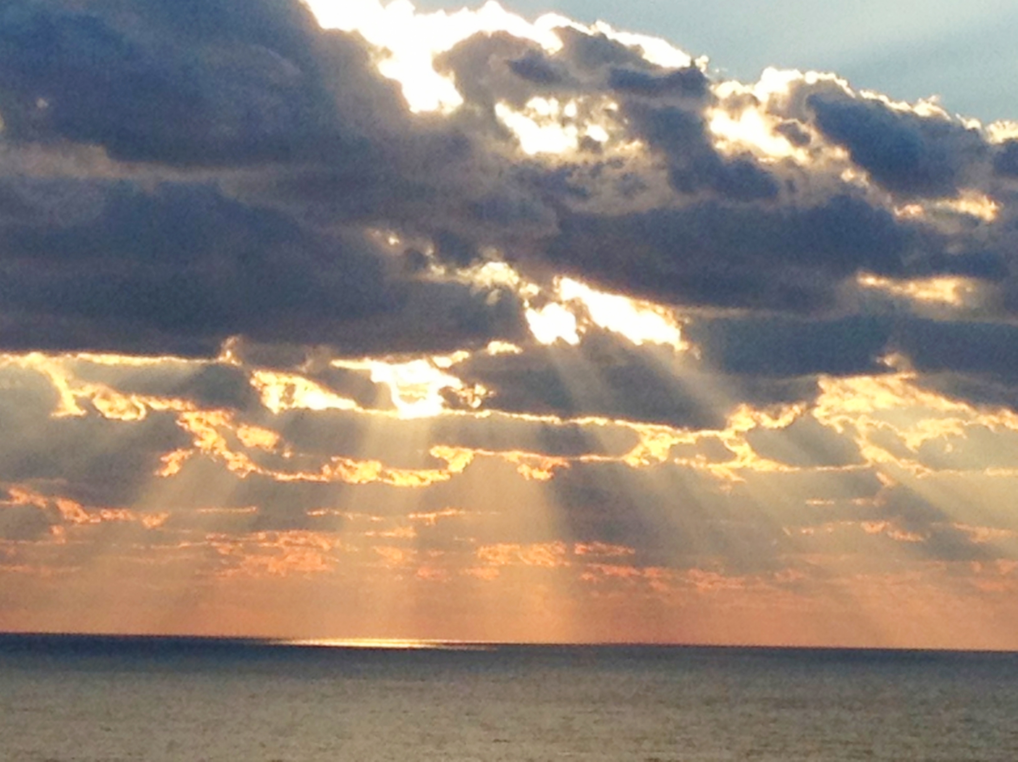 Photo #30