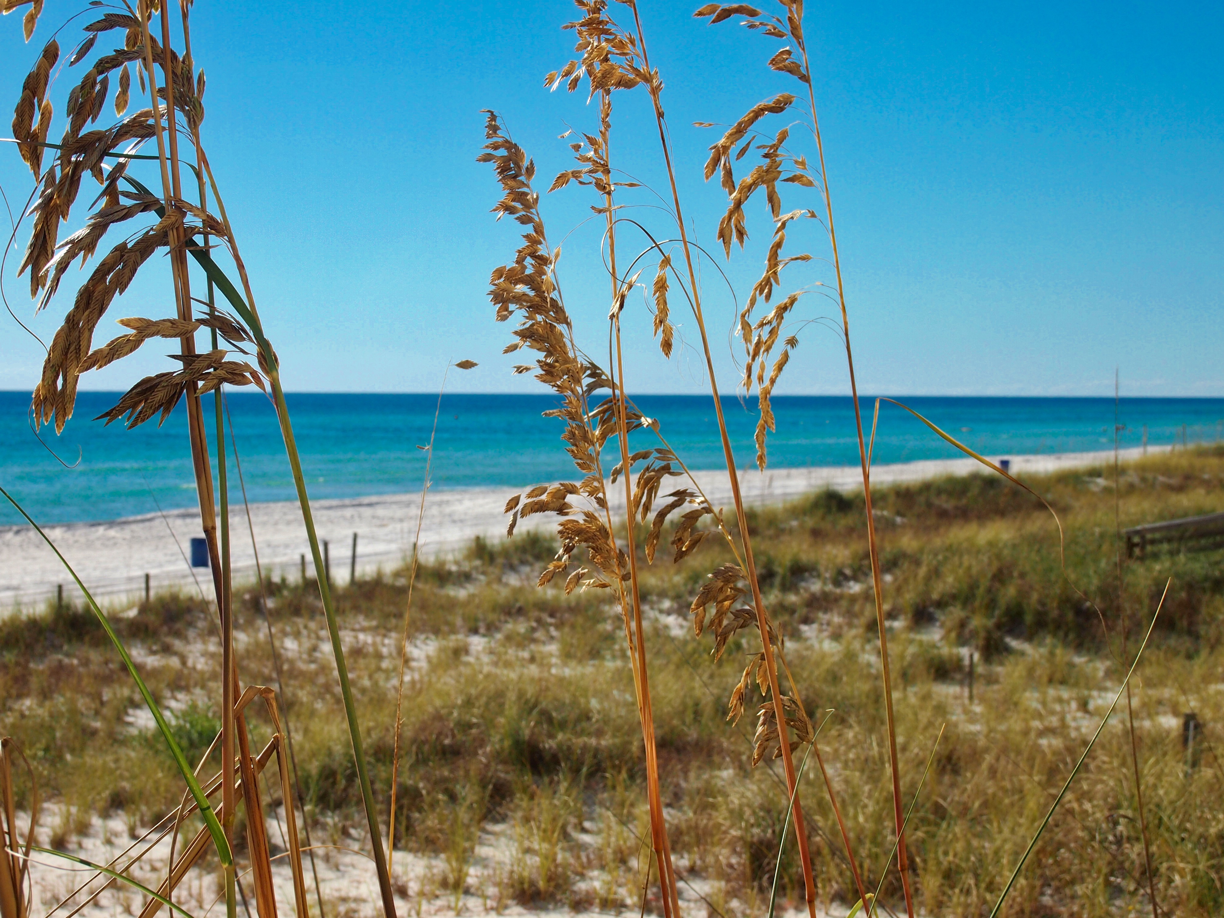 Photo #33