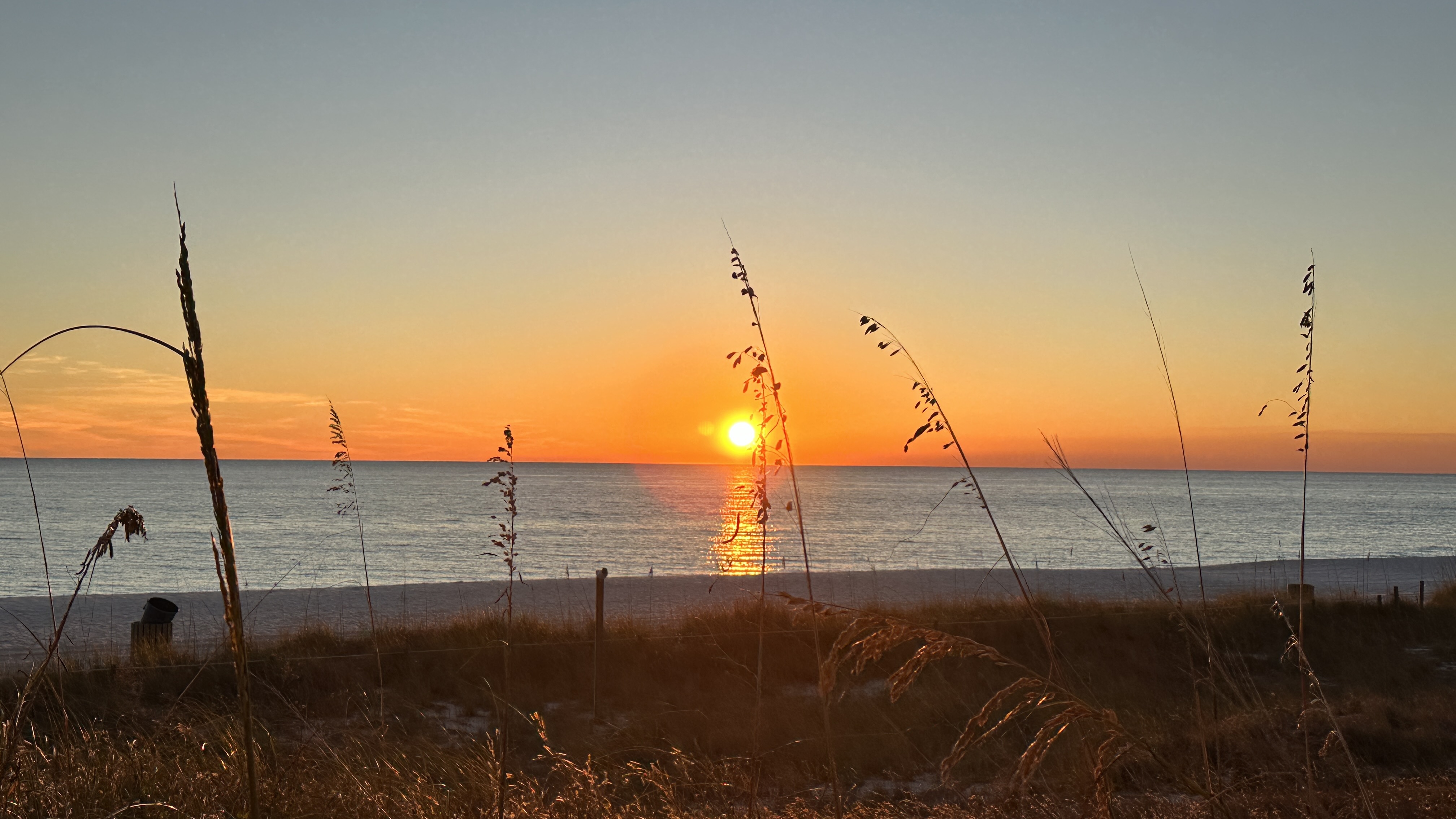Photo #35