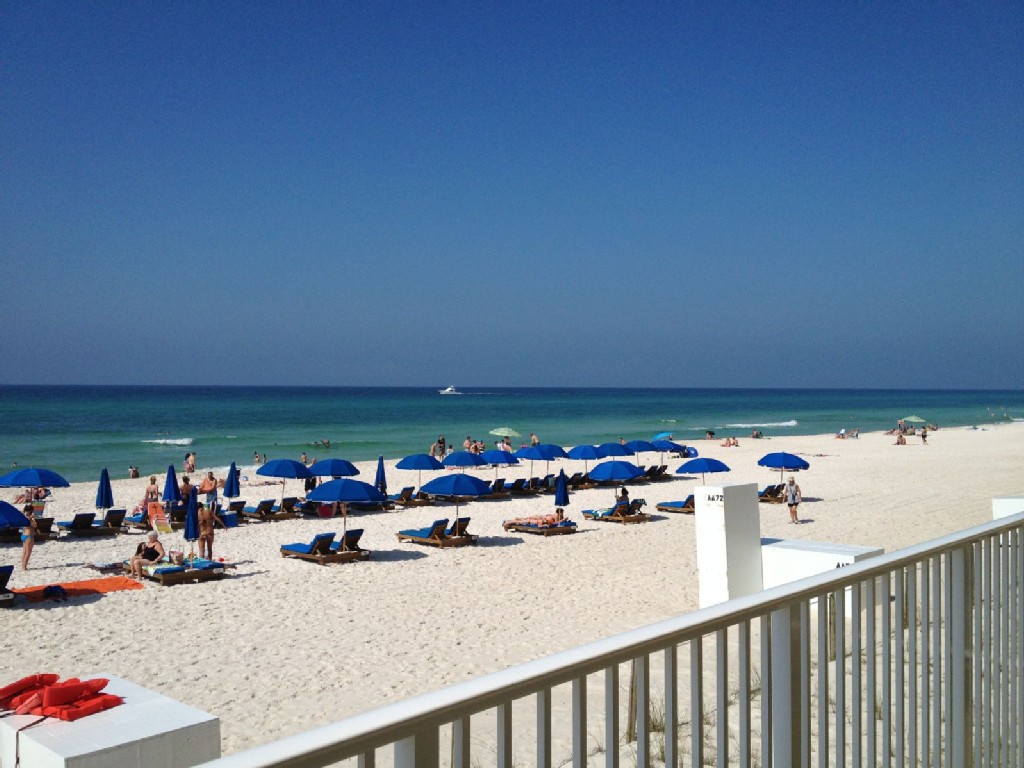 Photo #29
