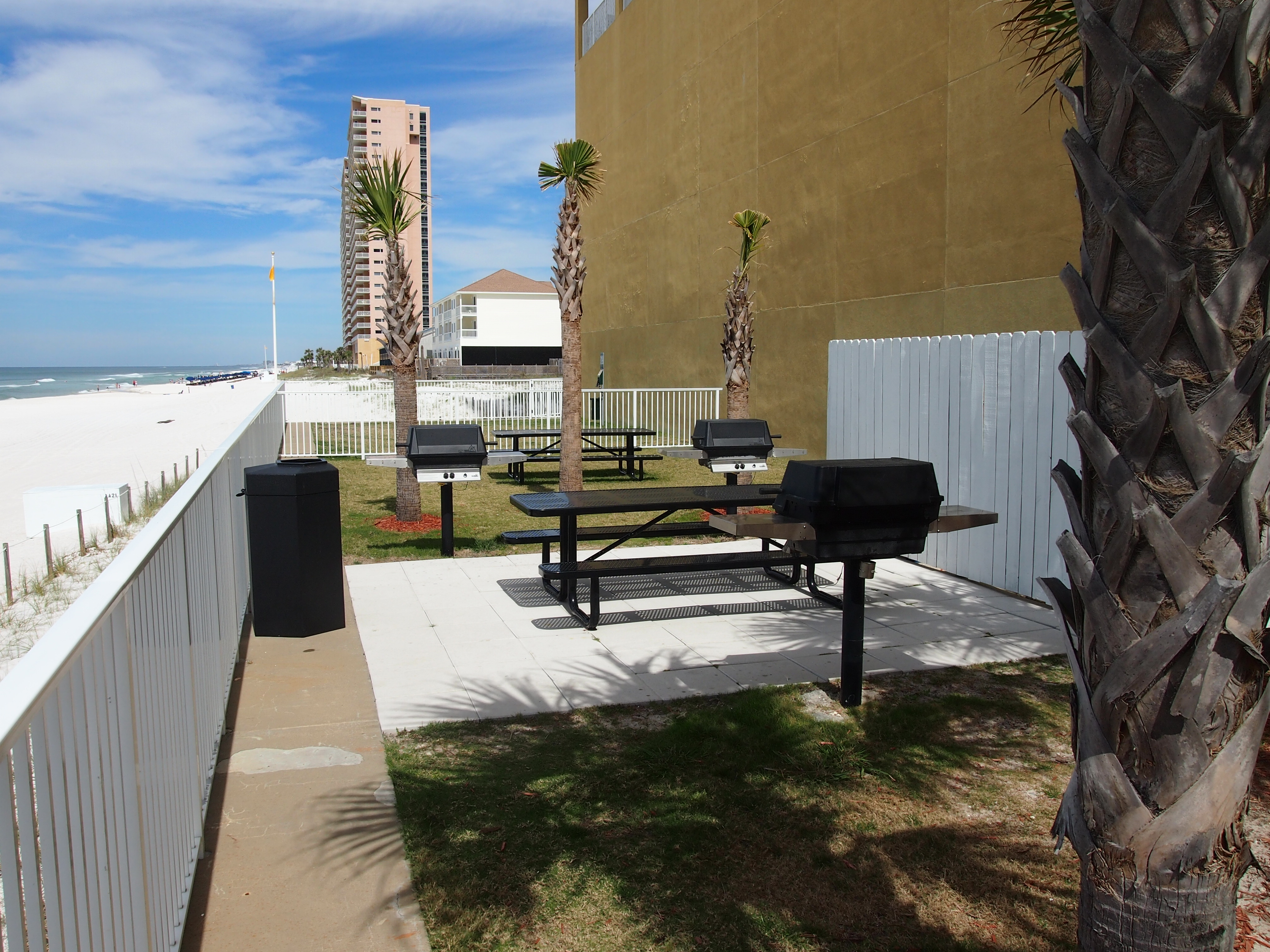 Photo #28