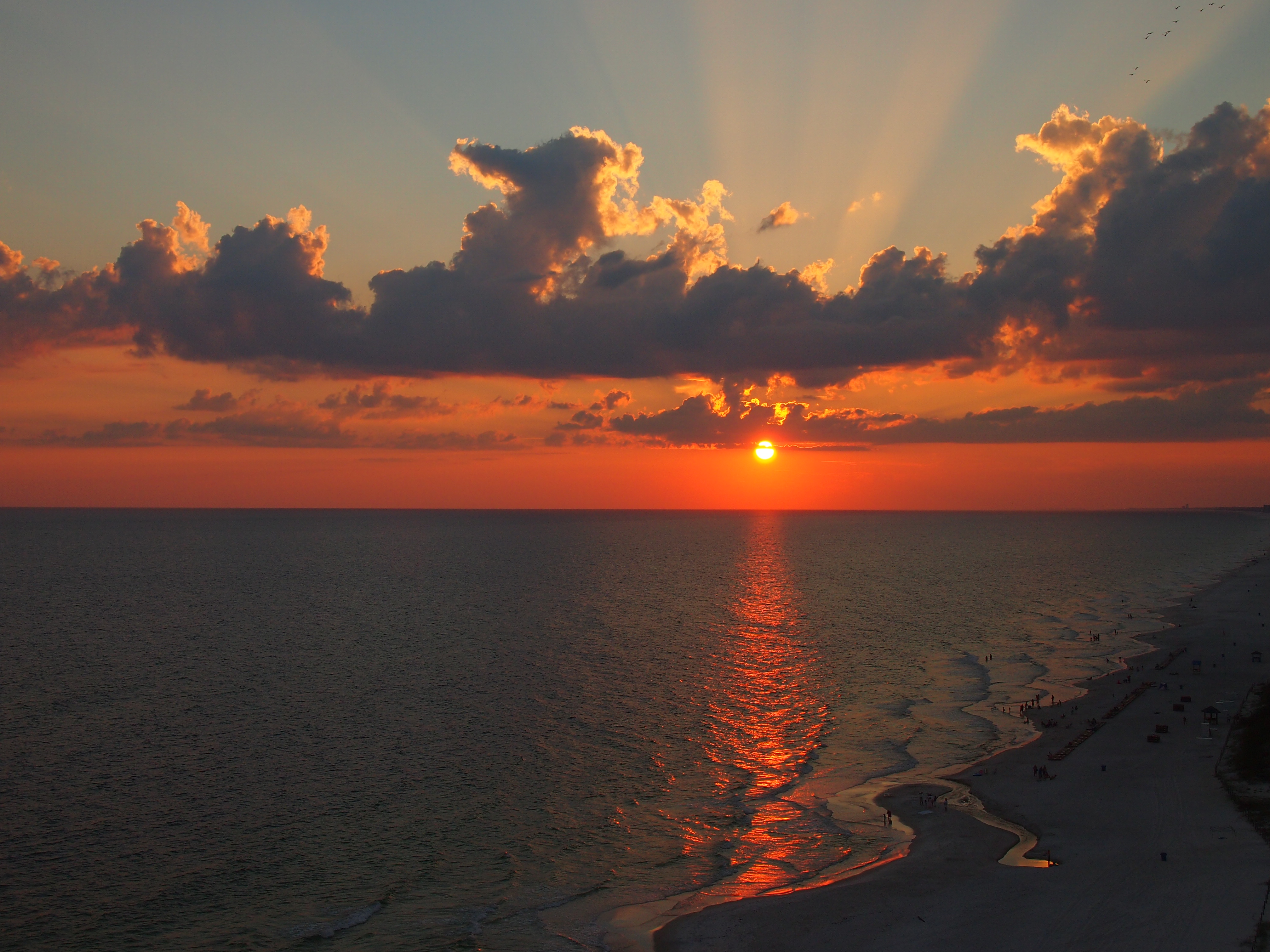 Photo #31