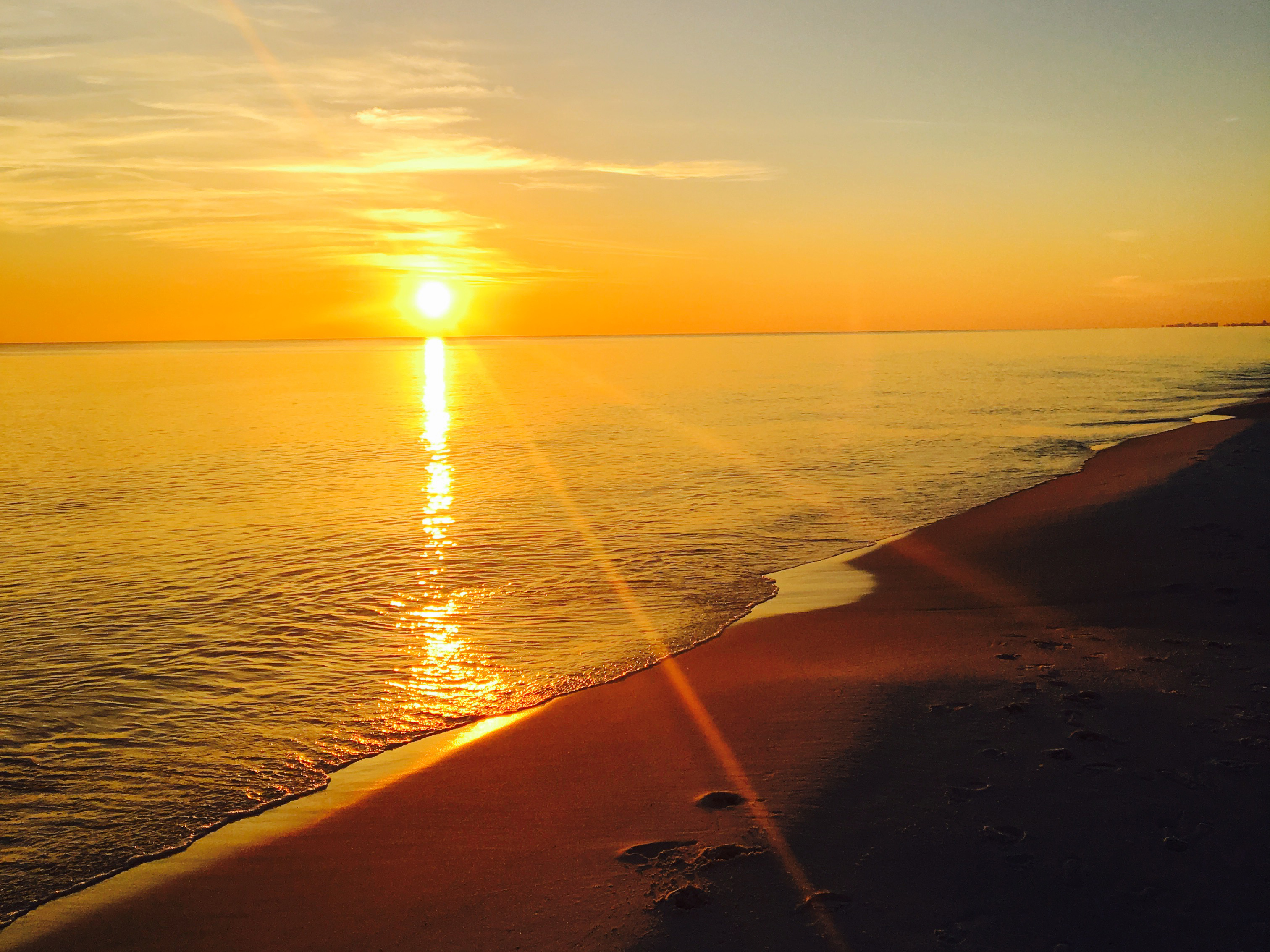 Photo #33
