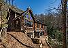 Walking path leading from the treehouse