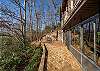 Walking path leading to the treehouse