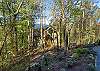 Timber Hideaway is nestled in lush, private woodlands