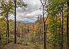 Fall color surrounding Timber Hideaway