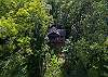 Aerial view: