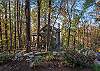 Beautiful landscaping surrounding Timber Hideaway