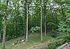 Spacious, level yard is perfect for kids.