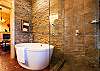 Master bathroom soaking tub and walk-in shower.