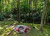 Beautiful view of the woods and creek