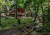 Tranquil creek by the cabin