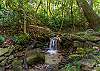 Tranquil creek by the cabin