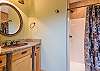 Full hall bath on lower level (walk-in shower only).