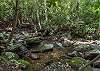 Beautiful creek spots along the 3 acre property