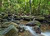 Beautiful creek spots along the 3 acre property