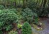 3 acre property to explore!