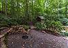 Community fire pit area in Creekside Park