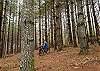 Spend your mornings hiking or mountain biking