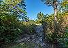 Blueberry patch & overlook at Sweet Retreat