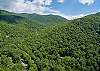 Aerial of One Acre Wood and Montreat.