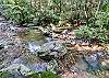 Bold Creek out front