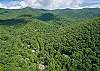Bird eye view of One Acre Wood
