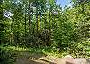 Easy access to walking paths along the creek
