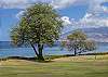 Kamaole Beach Park III