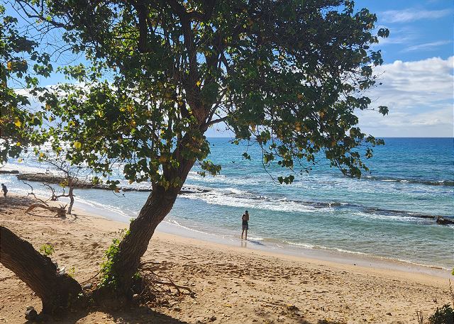 View from Private lanai! Swim and snorkel at beach! 