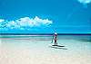 Paddle Board Fun