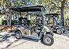 with 4 person golf cart and optional 6 person cart