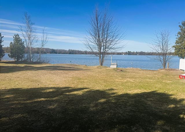 View of back yard from house
