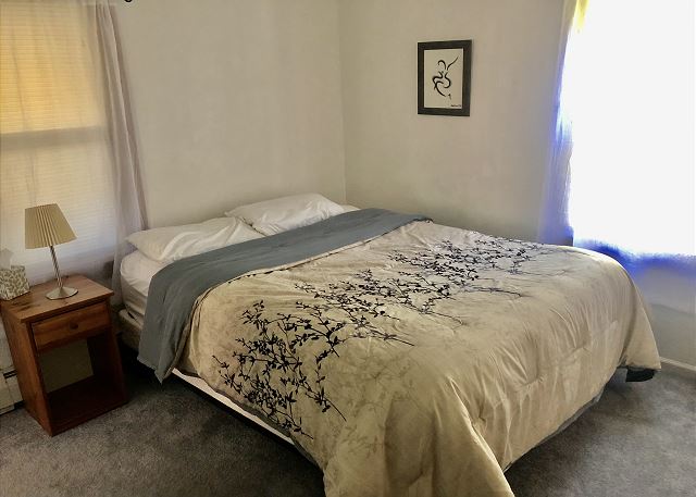 Main level bedroom with queen