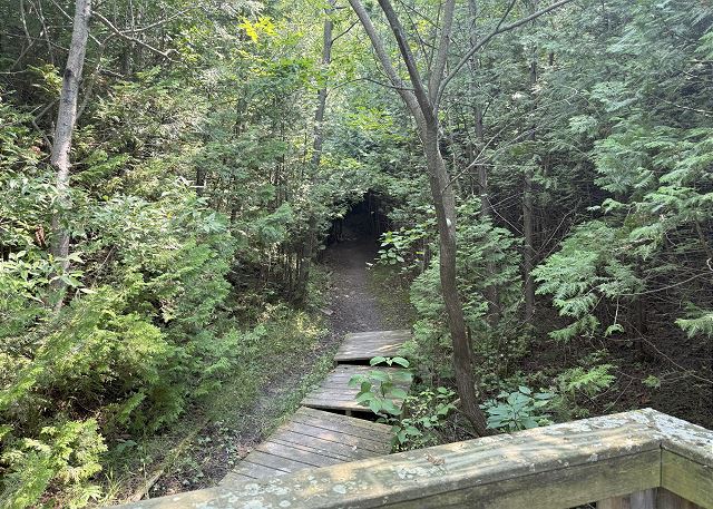 Path to water