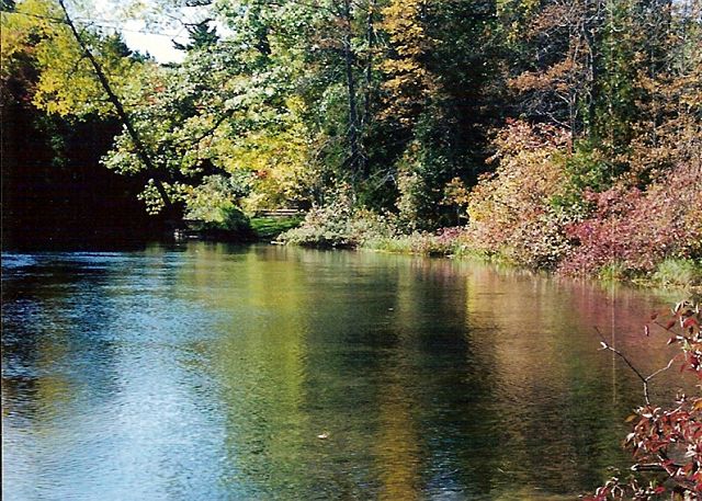 Crystal River is right across the street. Enjoy tranquil trips in your provided canoe.