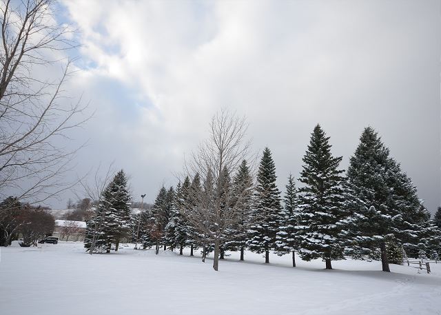Stay here this winter. Great location to snowshoe.